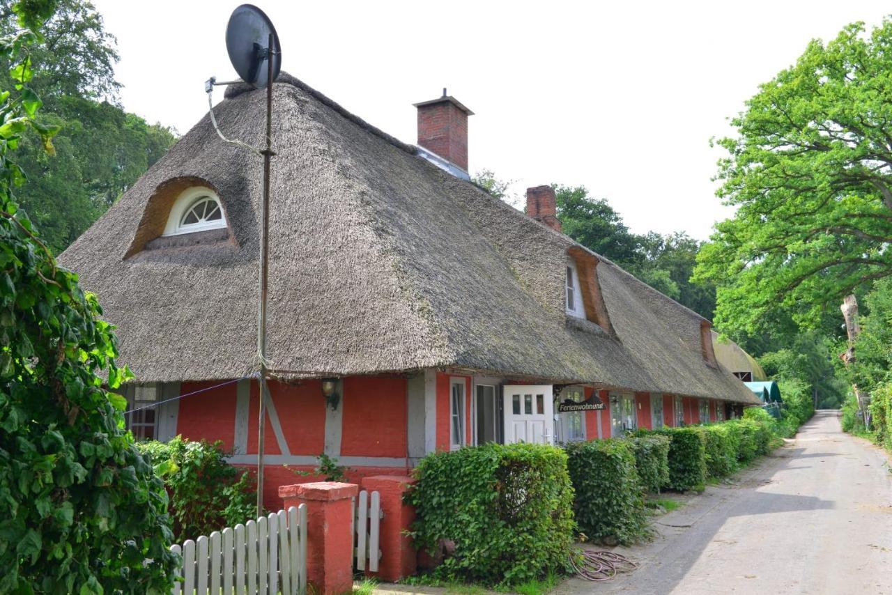 Wohnungen Unter Reet Krems Zwei Exteriér fotografie