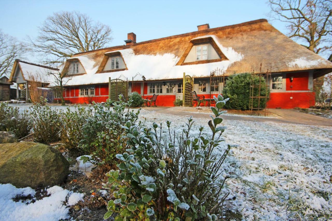 Wohnungen Unter Reet Krems Zwei Exteriér fotografie